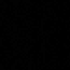 Meet your Posher, Ingrid